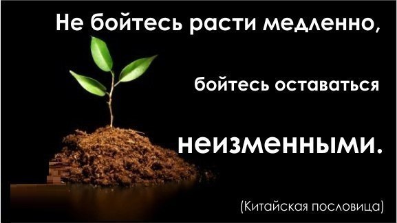 лучше расти медленно, чем стоять на месте